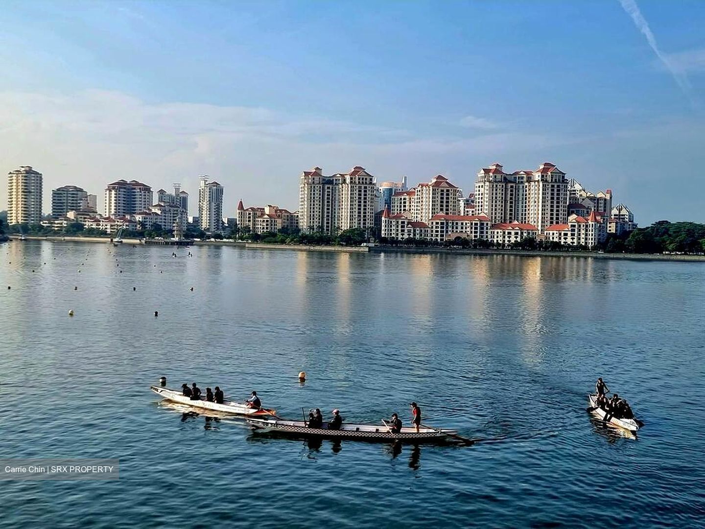 Kallang Riverside (D12), Apartment #483526371